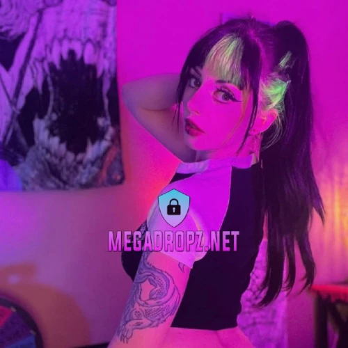 Kitty Cam